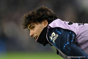 开云体育 -纽卡斯尔伤停最新消息今天