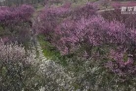 开云娱乐官网 -包含??曇渞F?T8}佔嬷囬h豣B?I(浓3夘€?/?畔a?en?苴囪髮Xc雙${